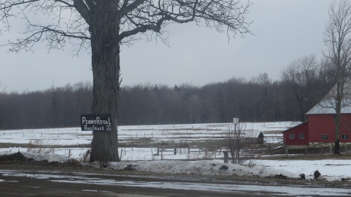 Winter view of the site of the Pennyroyal Race Track