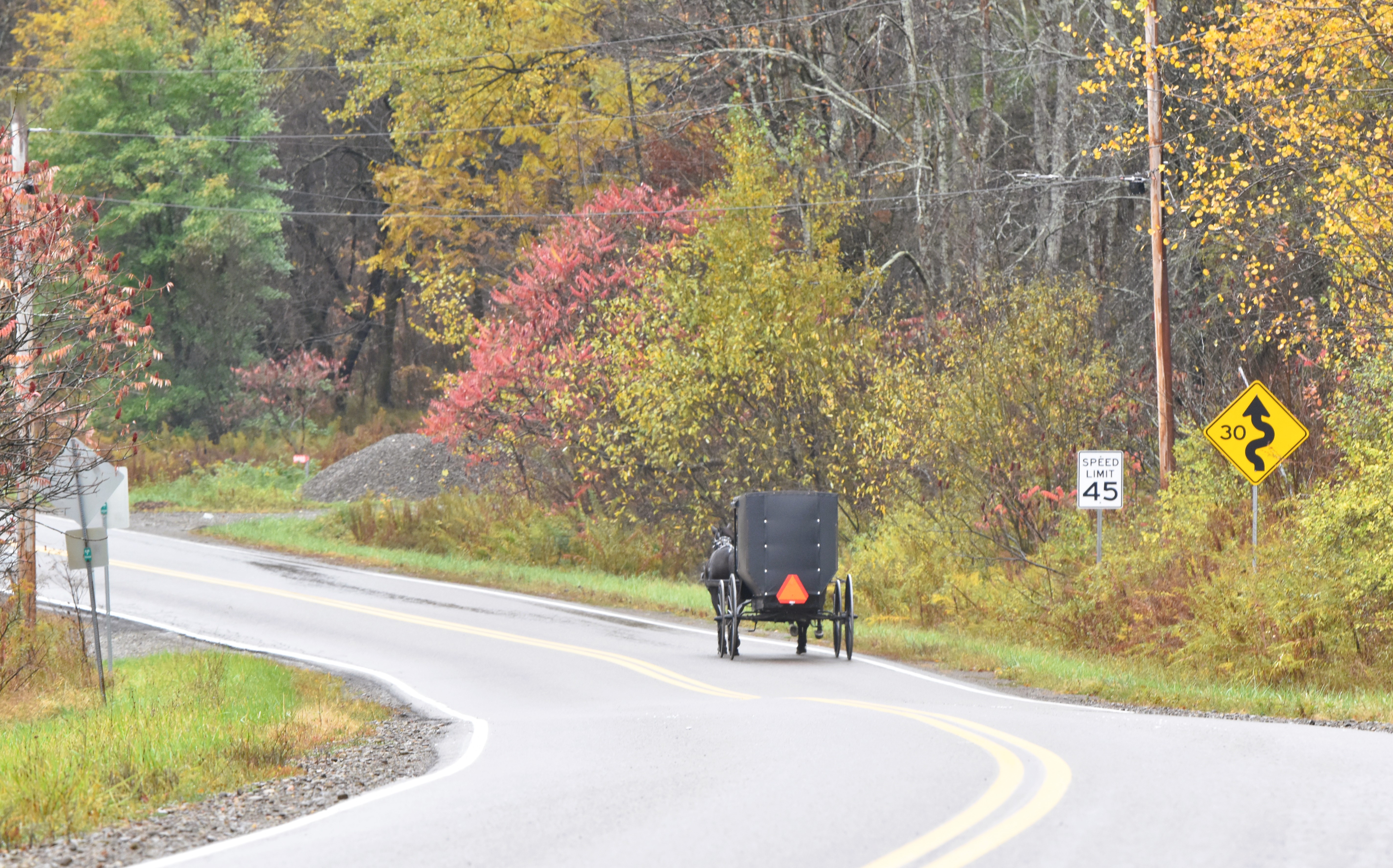 Amish Horse and buggy on the road in late autumn