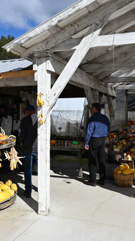 Fairspot Greenhouse & Produce