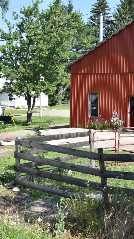 Amish business selling Kitchen Cabinets