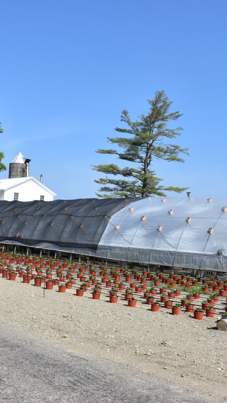 Yoder's Greenhouse