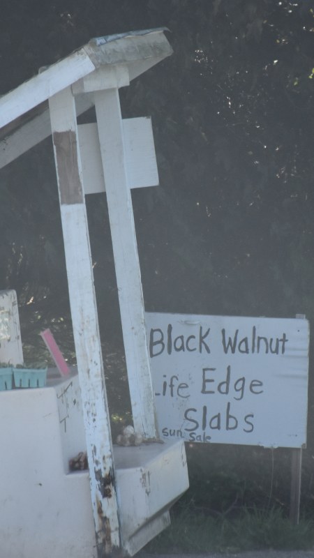 Black Walnut and Live Edge Slabs