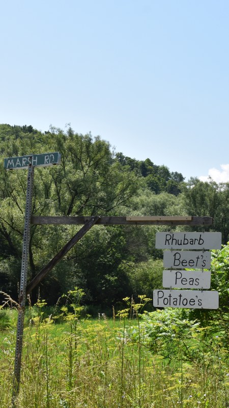 Rhubarb, Beet's, Peas, Potatoes