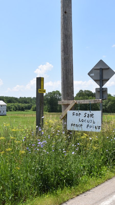 Locust Fence Post Sign