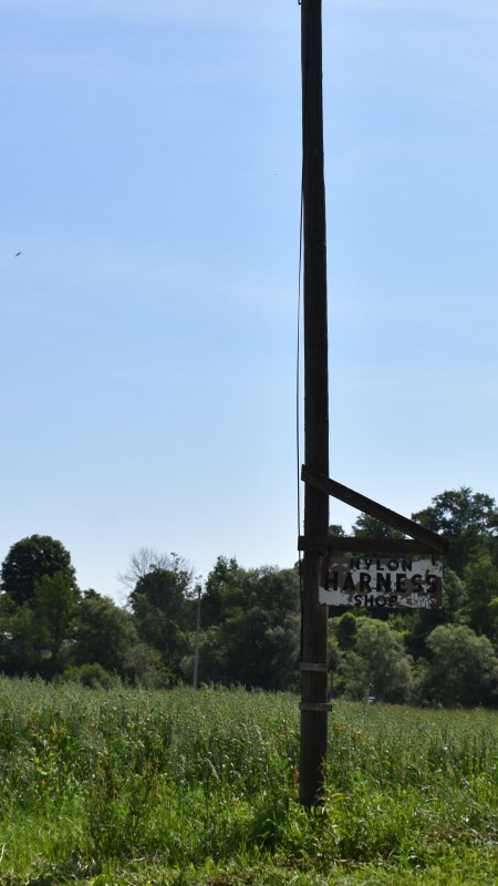 Nylon Harness Sign along NY's Amish Trail