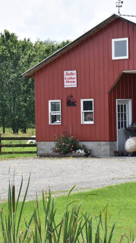 Shetler's Collar Shop on NY's Amish Trail