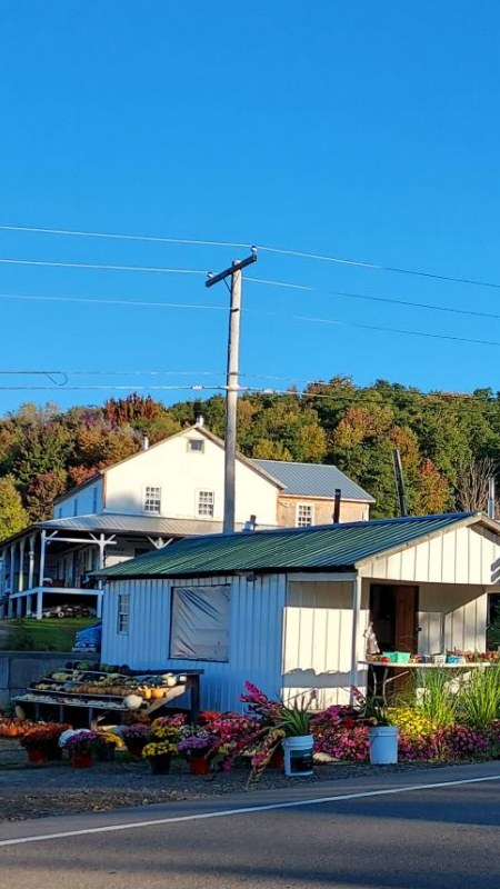 Outside of Shetler's