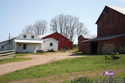 Barnyard buggies at an Amish home & Farm