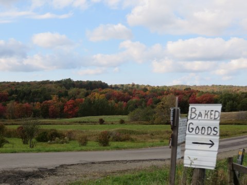 Fall Foliage along the Amish Trail with signs by the road, one labelled Baked Goods