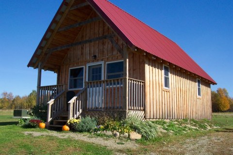 Aim High Cabin: Close up Fall