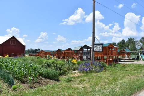 Amish made playsets and sheds