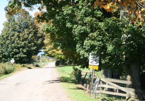 Road with a 25MPH sign