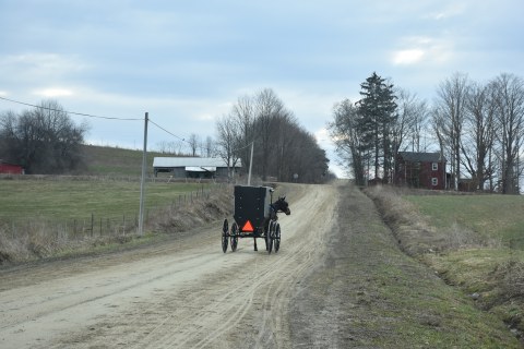 Horse and buggy on a dirt road in spring