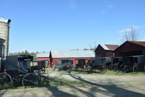 Buggies at an Amish farm