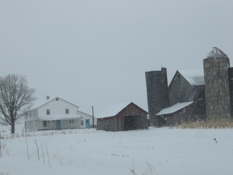 Amish Farm in the Winter