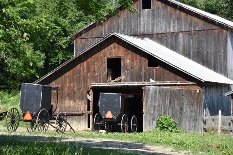 Amish Barn with buggies