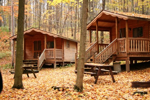 Colors all Around! Fun Fall Cabins at Pope Haven Campground!