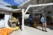 Fairspot Greenhouse & Produce