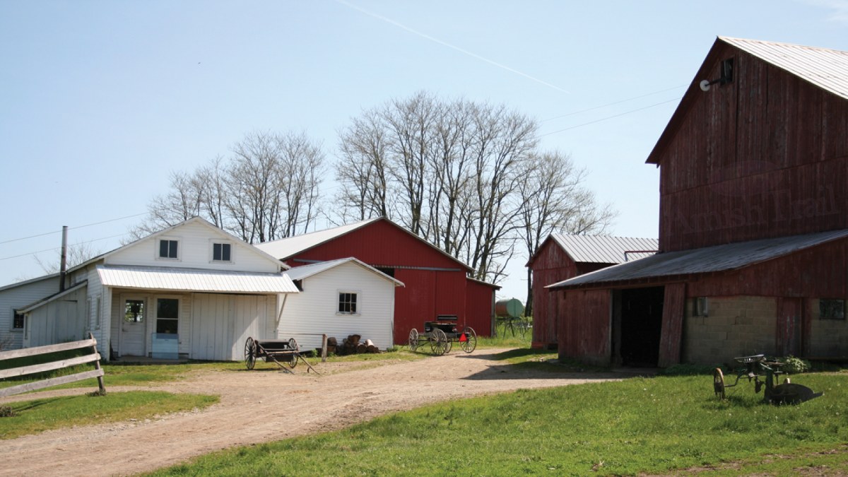 Barnyard buggies at an Amish home & Farm