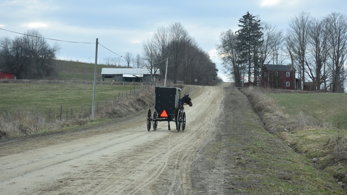 Horse and buggy on a dirt road in spring