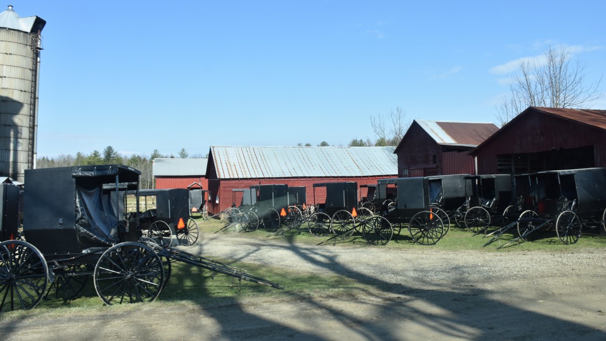 Buggies at an Amish farm