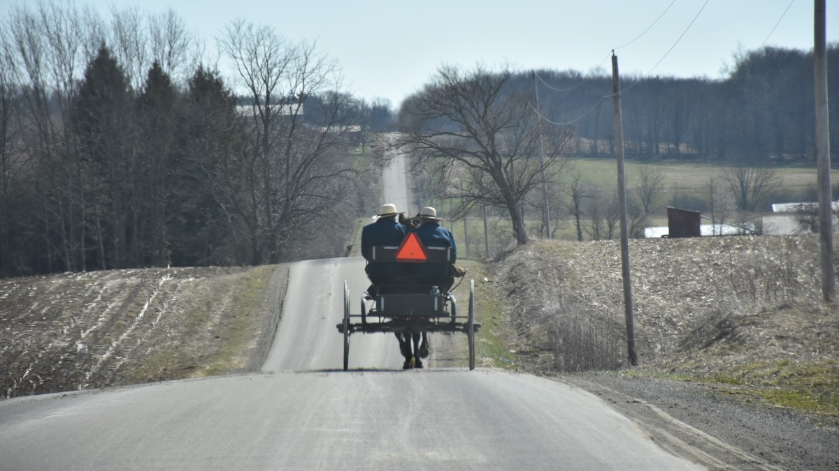 Amish buggy heading down the hilly road