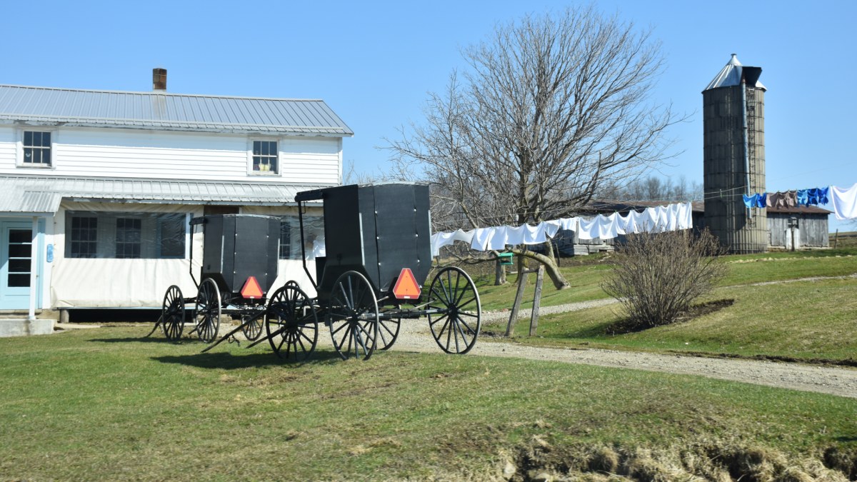 Amish buggies on a lovely spring laundry day 