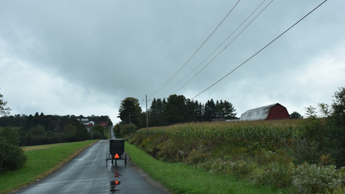 Rainy Day Amish Buggy in South Dayton along NY's Amish Trail