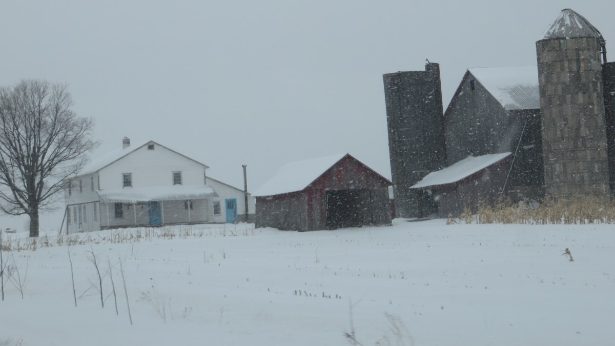 Amish Farm in the Winter