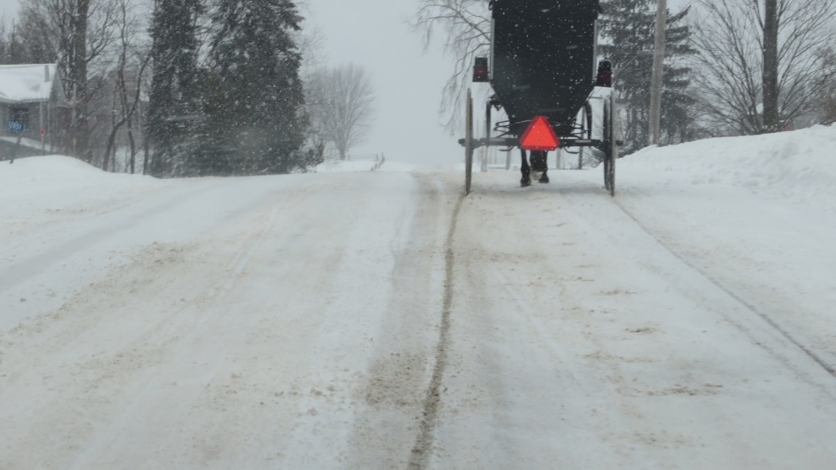 Amish Buggy on the crest of a snow-covered road in Feb. 2014