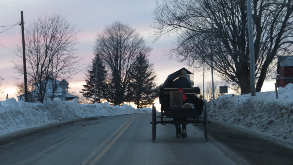Amish buggy on winter road