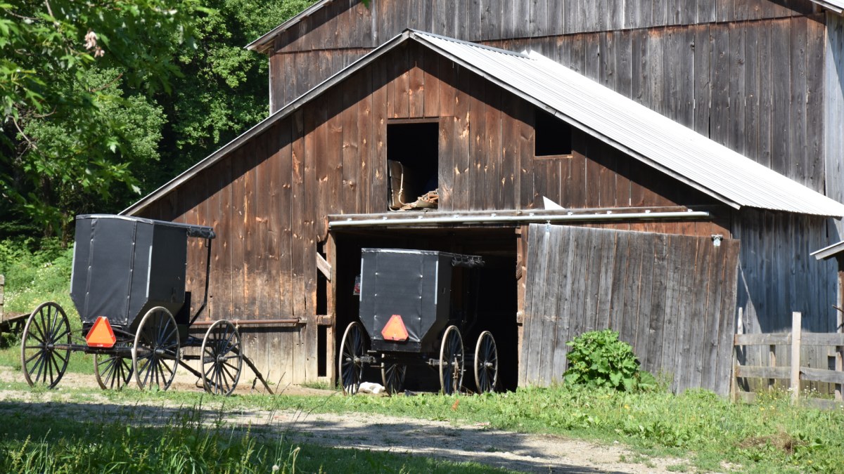 Amish Barn with buggies