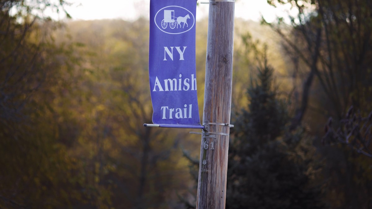 Amish Country Running Festival 2021 Amish Trail