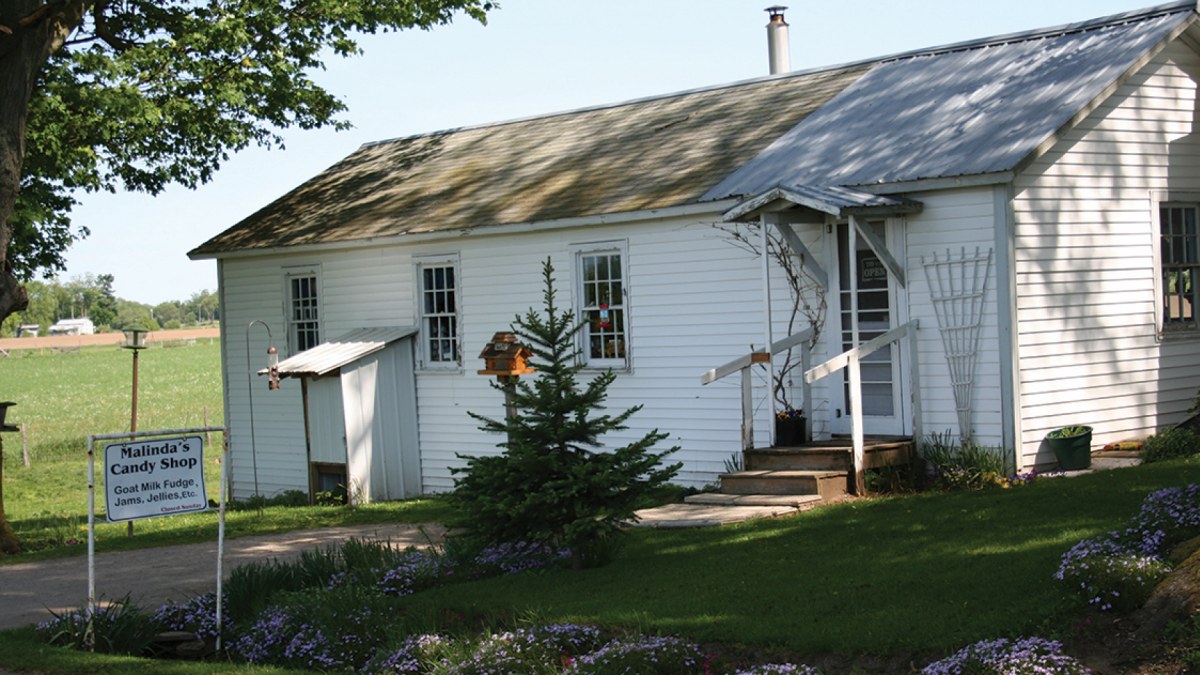 View of Malinda's Candy Shop from the Roadside