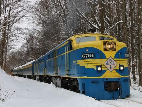 NYLE train in the snow