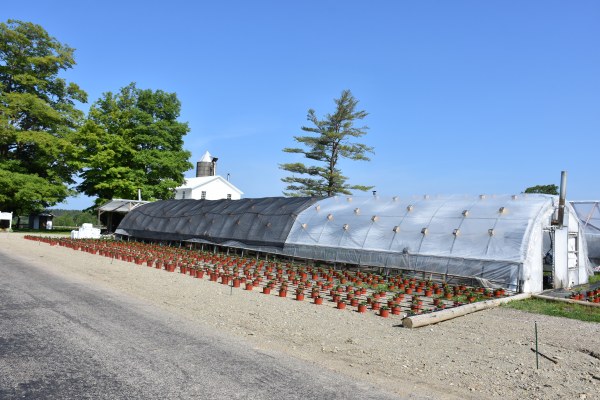 Yoder's Greenhouse