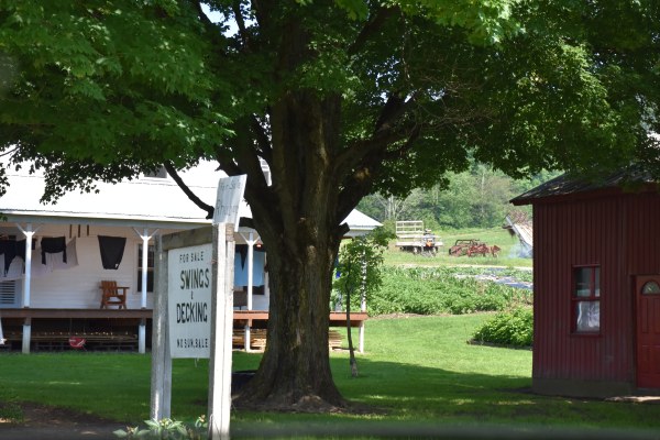 Swings, Decking, Eggs and Rhubarb 