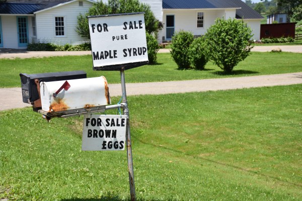 Maple Syrup and Brown Eggs for sale