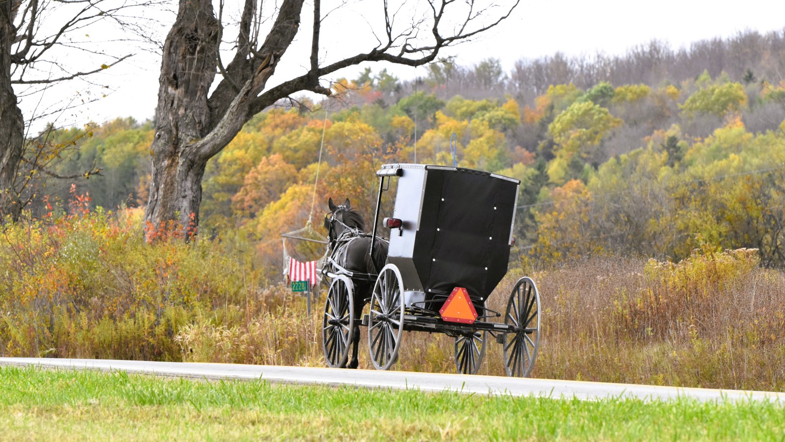 Amish Horse and Buggy in the late fall