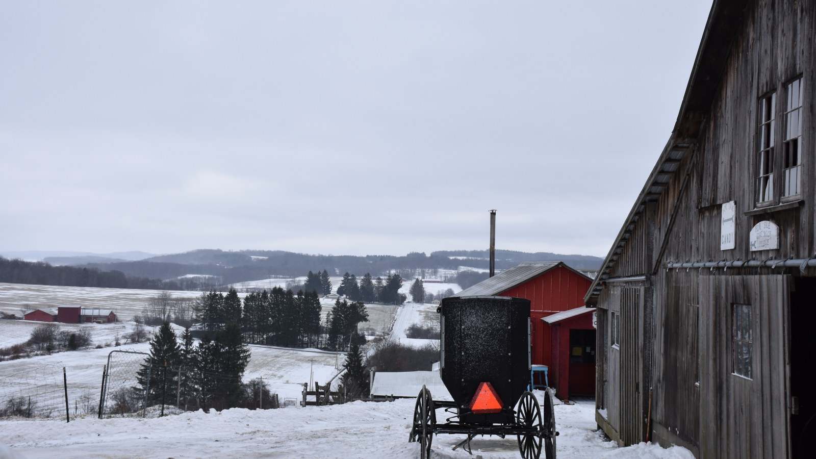 Amish Buggy with Winter landscape