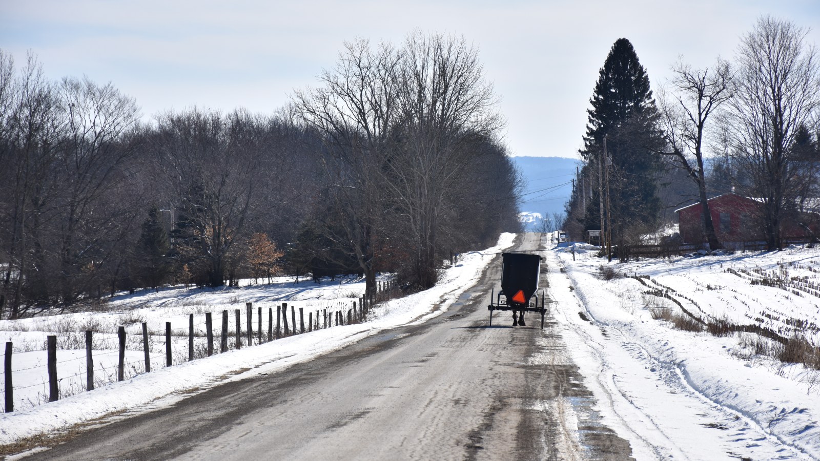 Amish Buggy on a winter day