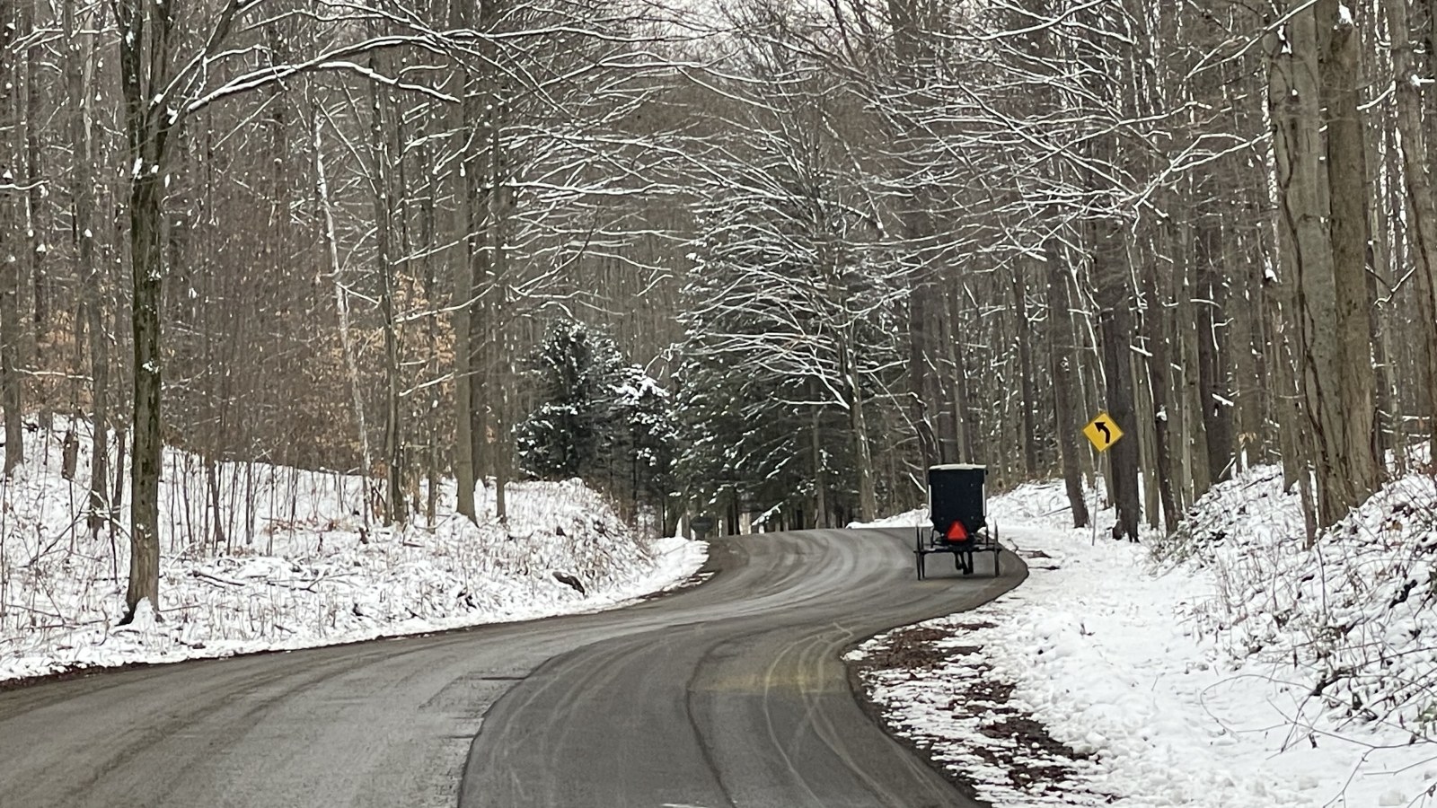 Amish Buggy on a wooded road in winter