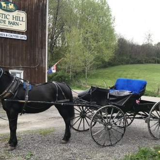 Horse and Buggie parked in front of Mystic Hill Olde Barn