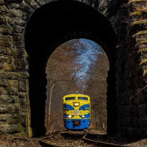 Train going through tunnel