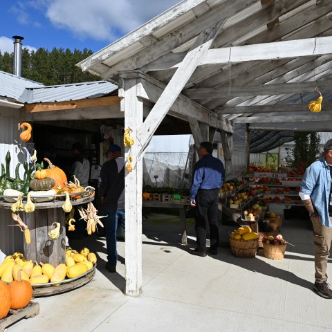 Fairspot Greenhouse & Produce
