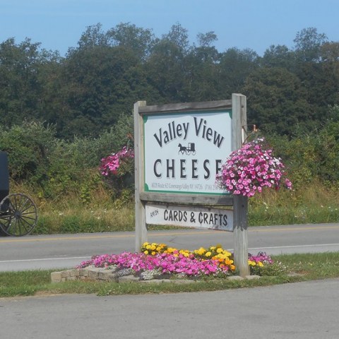 Valley View Cheese Co.