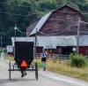 Amish horse and buggy passing a runner during the Amish Country Running Festival