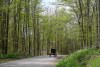 Amish Buggy travelling in Spring 2024